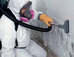 Best Mold Remediation for Healthcare Facilities  in Canton, MO